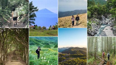 大門山|大門山（石川県）の最新登山情報 / 人気の登山ルート。